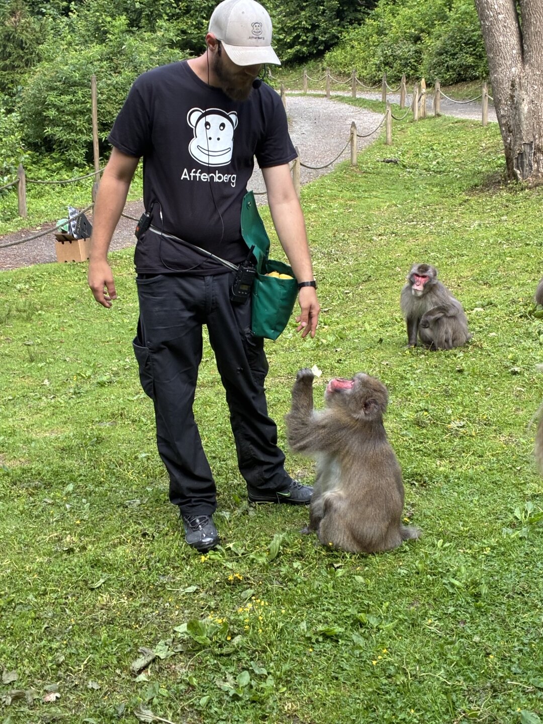 2ATOGKKL_Landskron