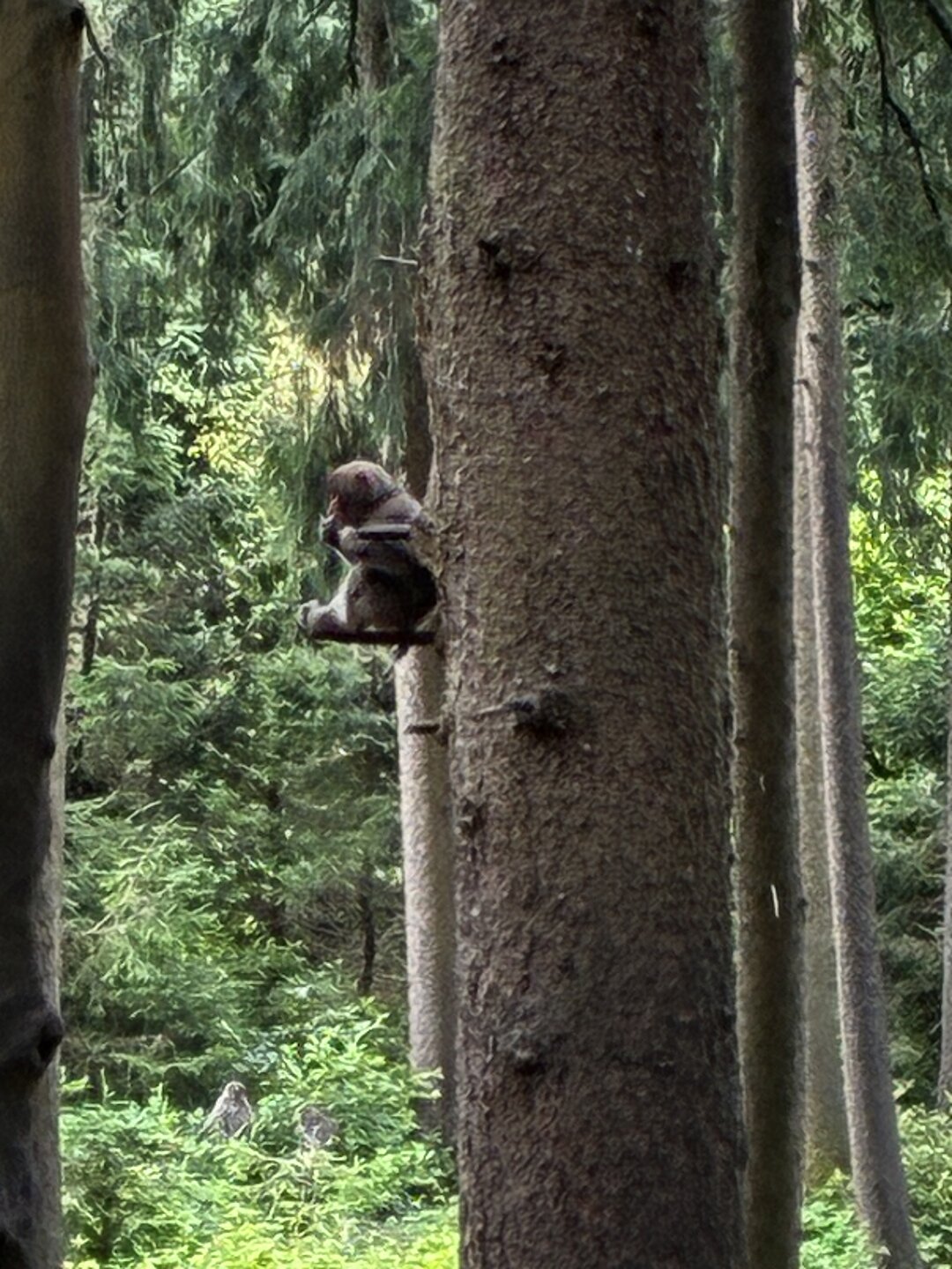 2ATOGKKL_Landskron
